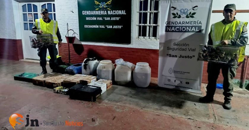 GENDARMERÍA NACIONAL DETECTÓ TRANSPORTE ILEGAL DE FAUNA SILVESTRE