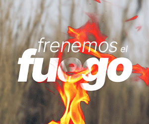 SF-Provincia_FUEGO_bnnr_300x250