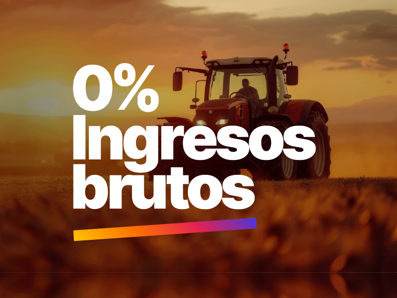 Ingresos Brutos Noviembre