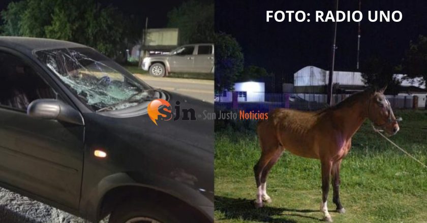 SAN JAVIER: UNA FAMILIA CHOCÓ UN CABALLO QUE SE LE ATRAVESÓ EN LA RUTA N°1