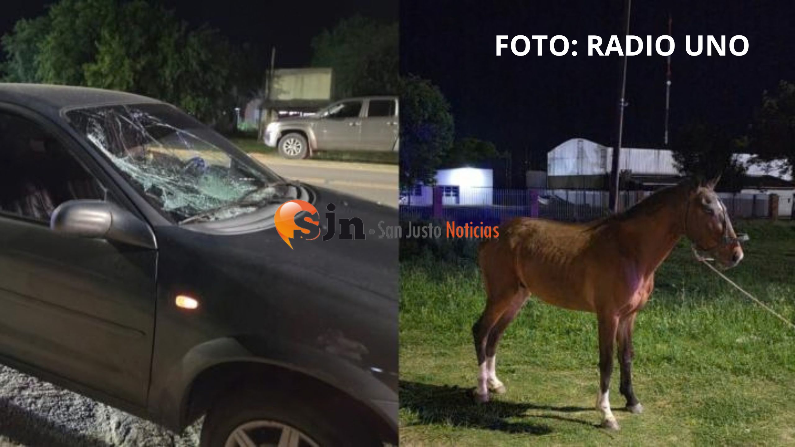 SAN JAVIER: UNA FAMILIA CHOCÓ UN CABALLO QUE SE LE ATRAVESÓ EN LA RUTA N°1
